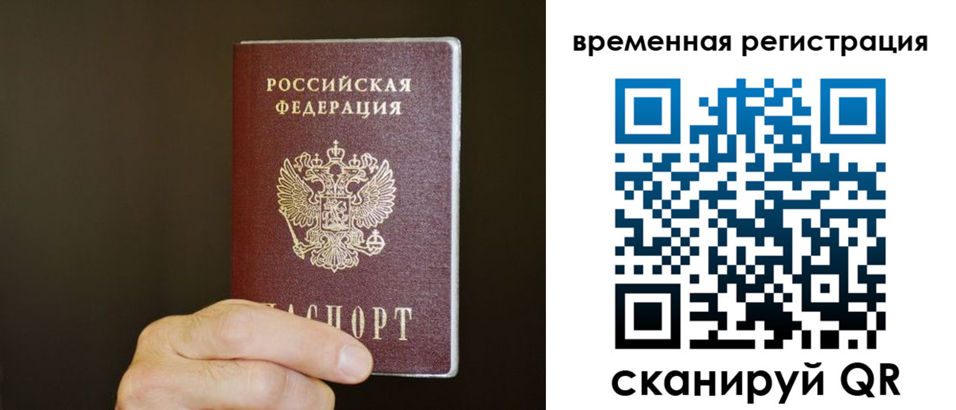 прописка гарантия в Ясногорске